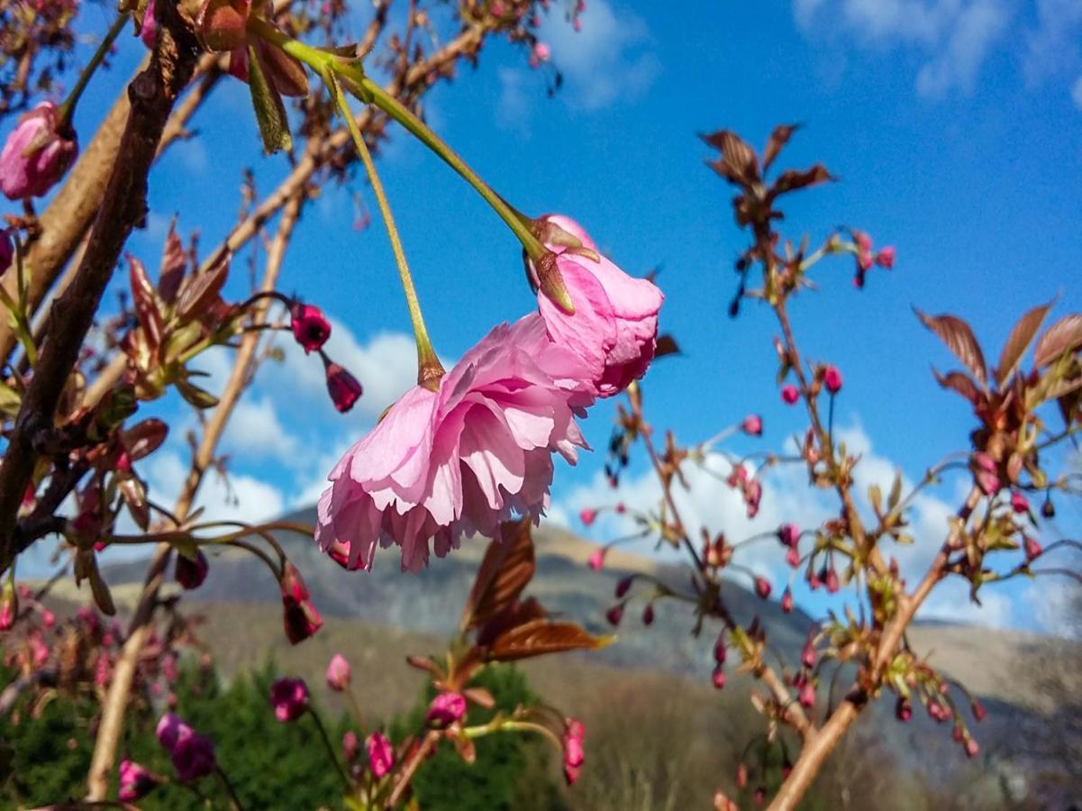 Padarn Hotel Llanberis Dış mekan fotoğraf